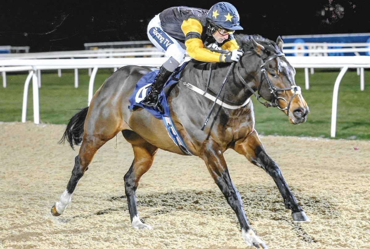 Water Of Leith who ran a cracker <a href="/MusselburghRace/">Musselburgh Racecourse</a> on Sunday returns this afternoon, <a href="/amiewaugh/">amiewaugh</a> rides!