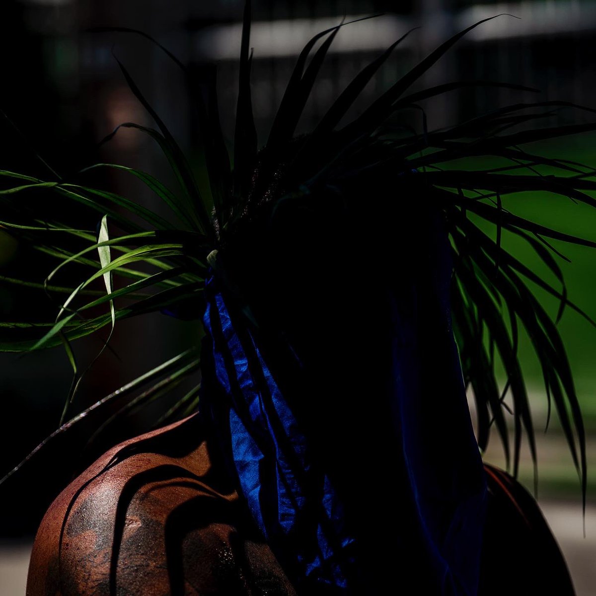 Lisa Marie David tweet media