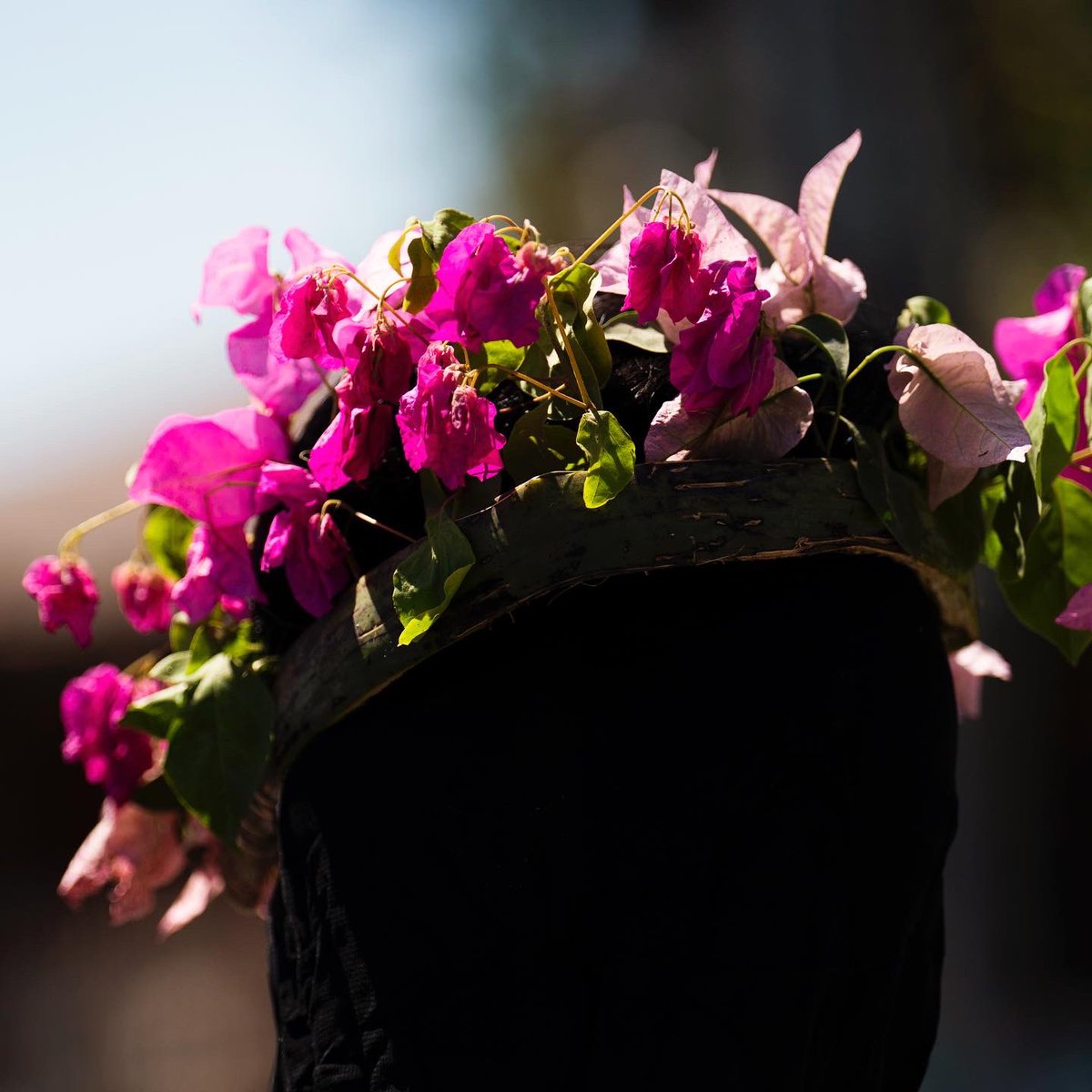 Lisa Marie David tweet media