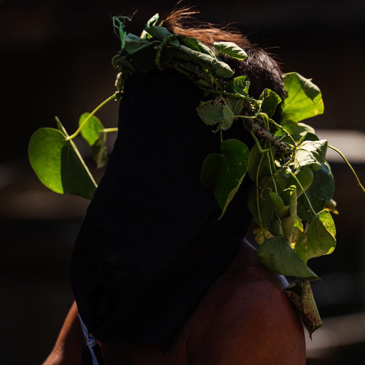 Lisa Marie David tweet media