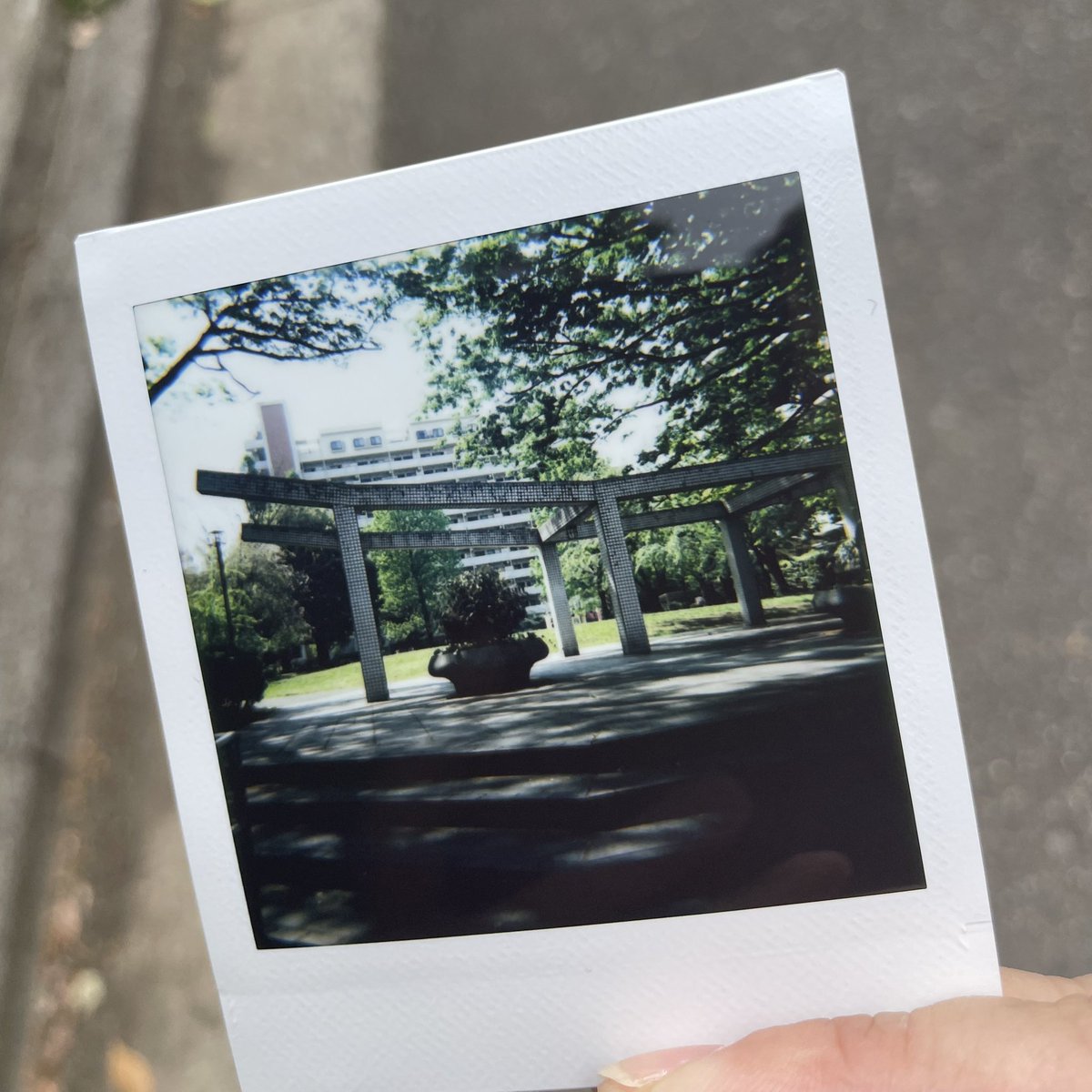 Shj3D's tweet photo. 気温が高いのでチェキの発色がすこぶる良い
#nonssl660 #instaxsquare https://t.co/TpC0SHTGOb