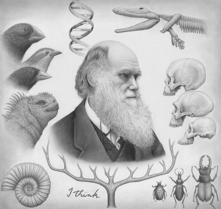 HistoryMattersX's tweet image. 🇬🇧 Wednesday 19 April 1882, Charles Darwin died (73) in Downe, UK.
Born Charles Robert Darwin on Sunday 12 February 1809 in Shrewsbury, UK.
English autodidact, biologist, geologist and naturalist.
Widely known for his theory of evolution by natural selection.
🌹#CharlesDarwin