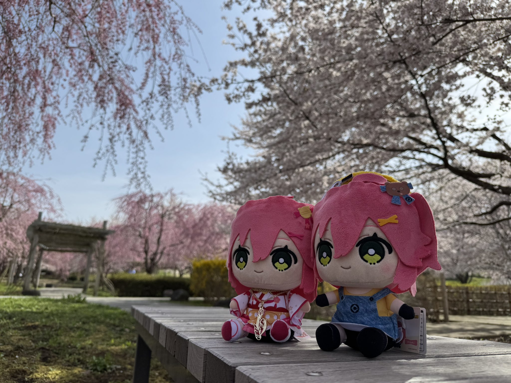 みこち大好き - Search / X