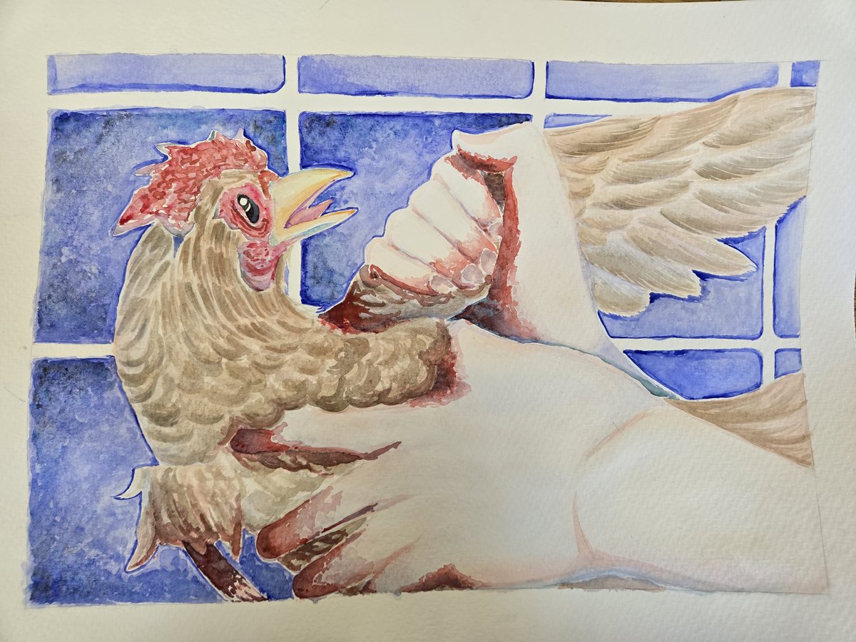 KujaTheGhoul's tweet photo. "Torn apart" 
(Gore warning) No chickens were harmed in the process of painting this
#animals #art #watercolor #noaiart #chicken https://t.co/U99rLa8sy7