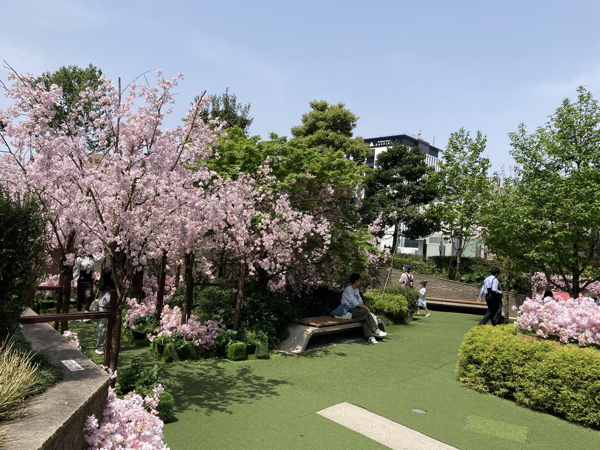 ugachanblog's tweet image. こんにちは😊
桜の季節も終わり、暑くなりました
現在名古屋は28度くらい
春短く夏日🥵 気温差大きいので
お身体に気をつけてお過ごしください
美容院帰りに名駅へ
大名古屋ビルヂング寄ったら
なんと桜🌸が 造花なんですけど😅
青空とマッチしてこれはこれで綺麗でした
5月6日まで
簿記勉やります