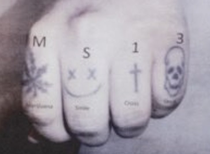 <a href="/realDonaldTrump/">Donald J. Trump</a> Look closely people.
They digitally added "MS13" to a photo of an unknown hand and now claim that this is proof.

Is this your standard for crime investigation Mr. President?