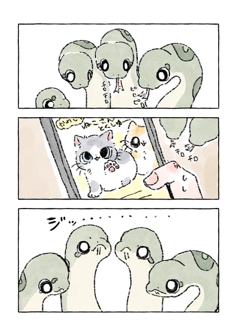 やきもち 