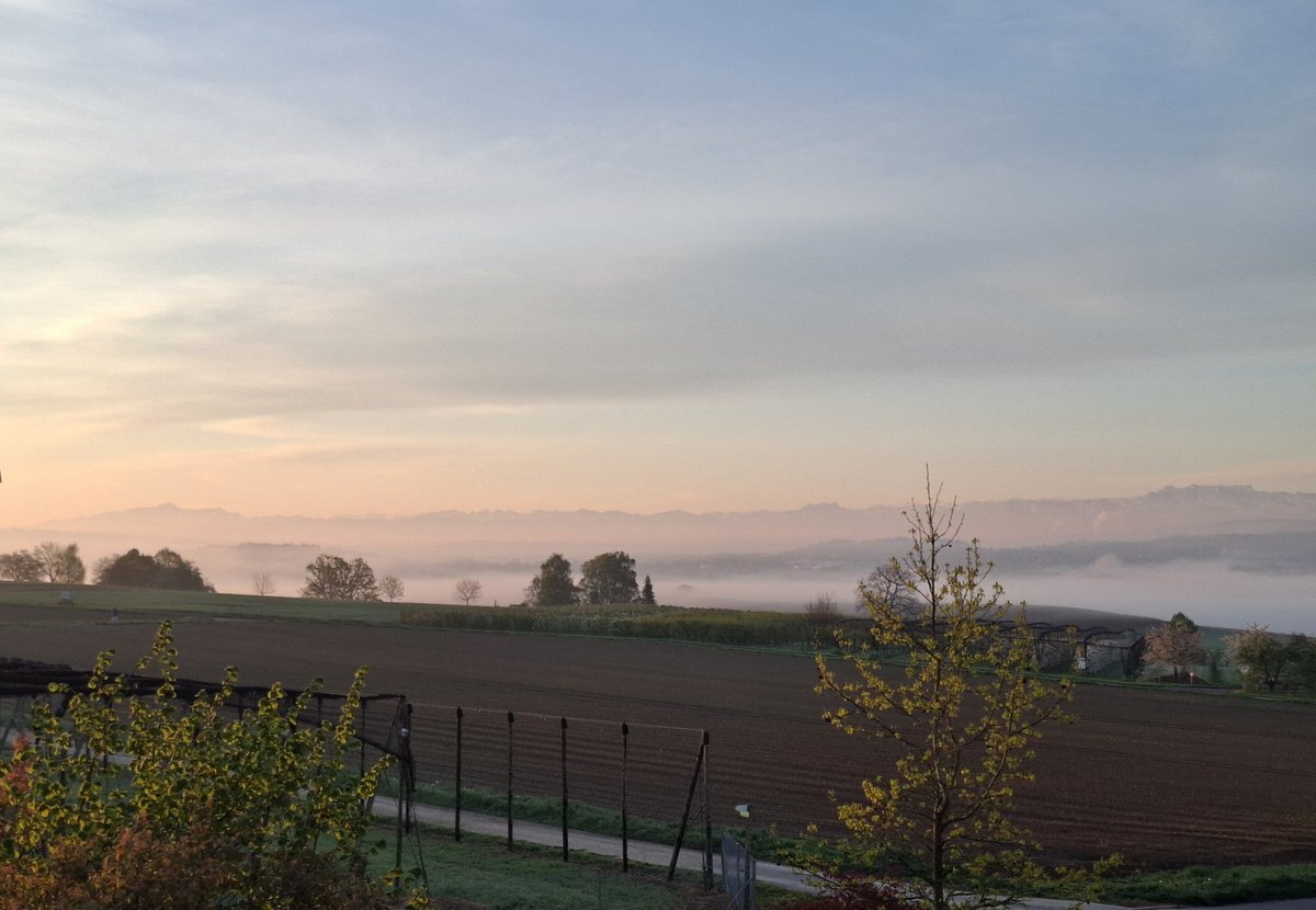 Guten Morgen allerseits. 
Wünsche euch frohe Ostern!