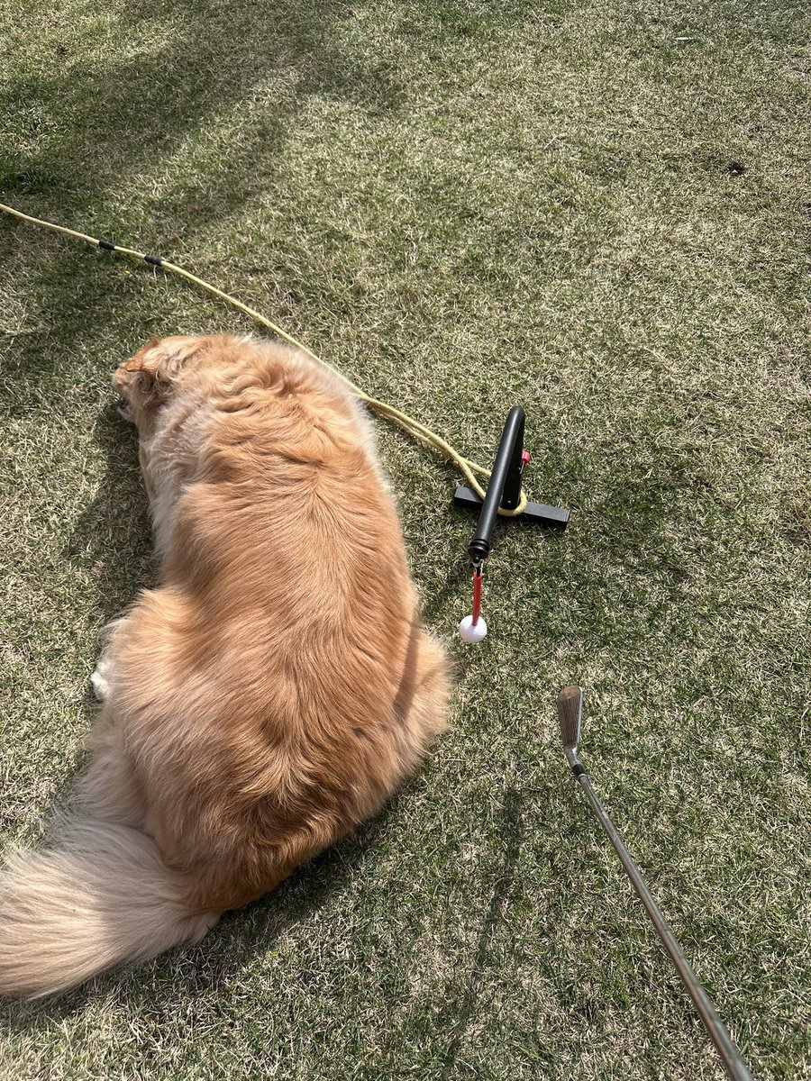 pivot7250's tweet photo. #ムチムチボディ https://t.co/N69waUP6Tb