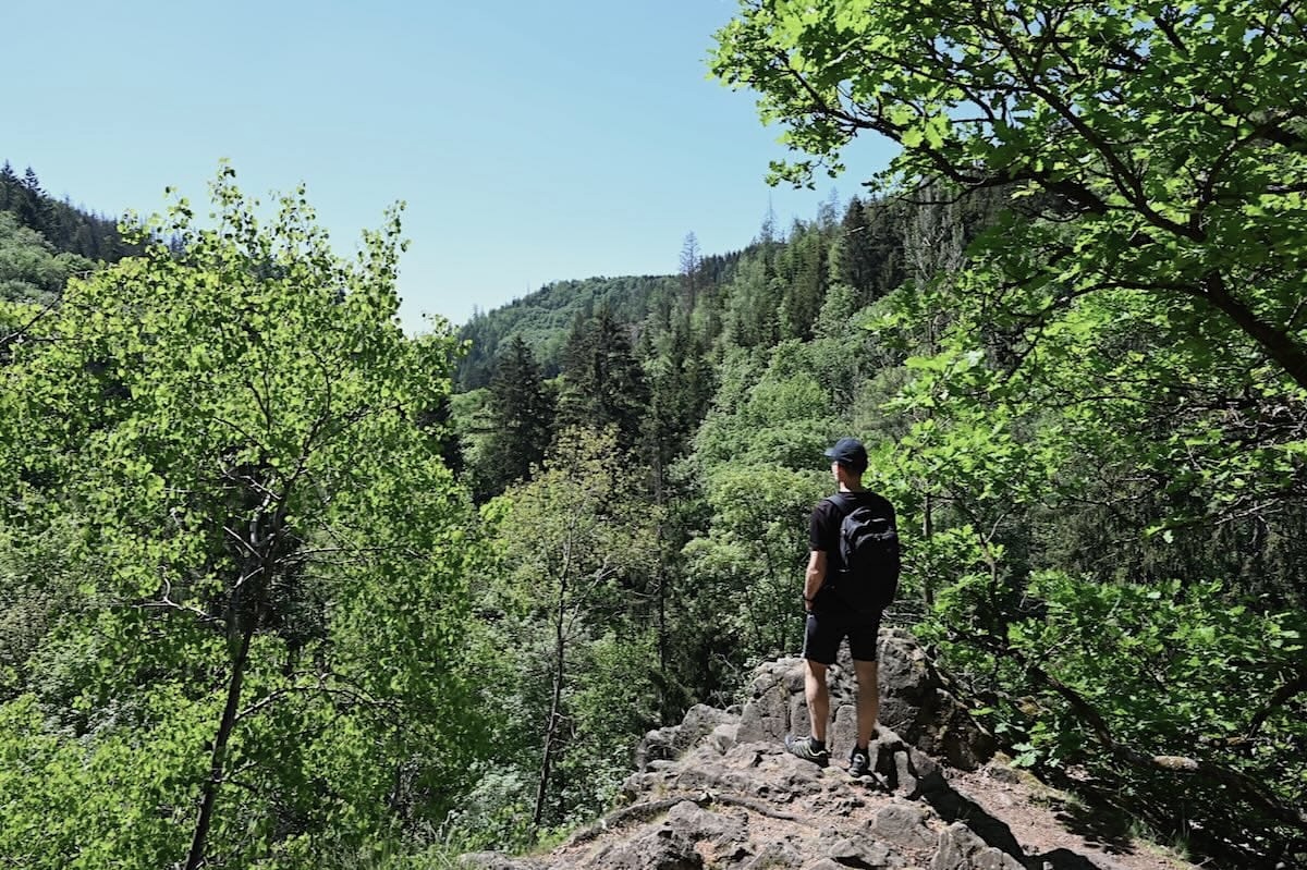 Wanderurlaub in Deutschland ist beliebt und die Auswahl an Touren und Wegen groß. 5 Urlaubsregionen in Deutschland, die sich gut für einen Wanderurlaub eignen, neu im Blog: people-abroad.de/blog/urlaubsre… #wandern #deutschland