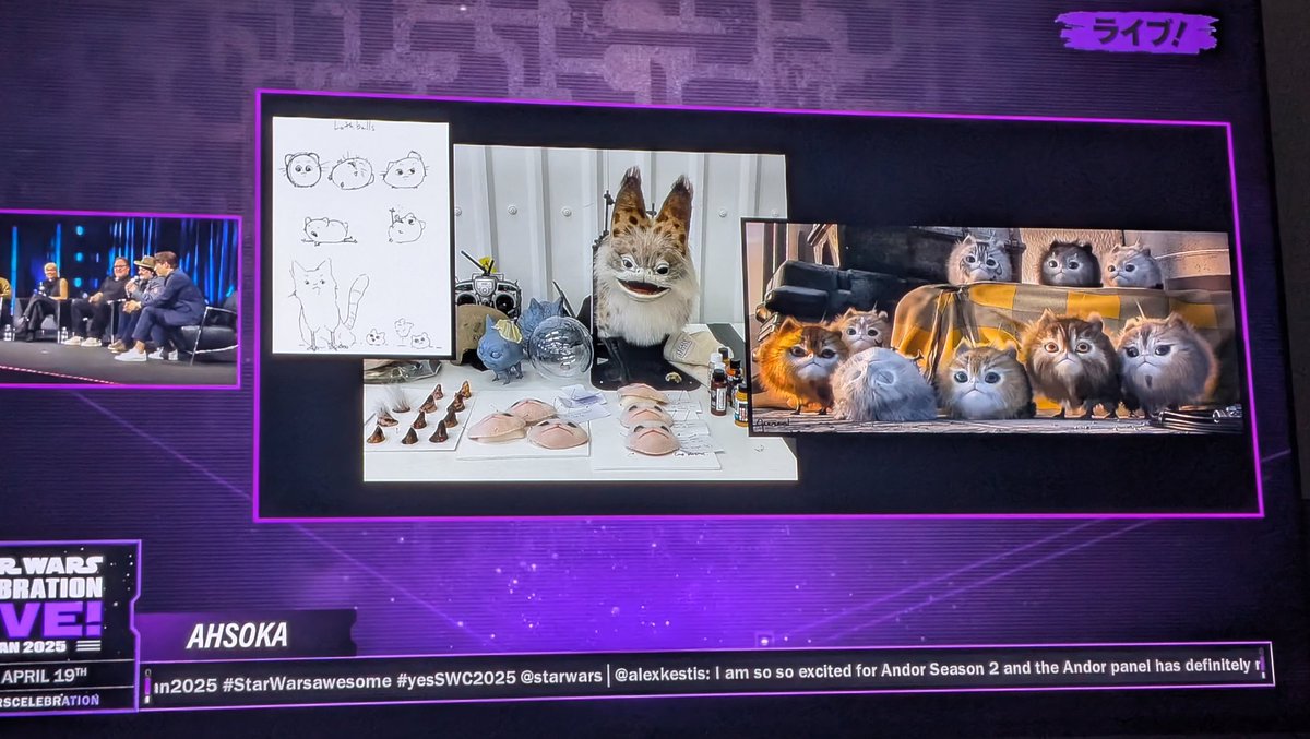 FLYGUY's tweet photo. #lothkittens and #lothcats
In season 2 of #Ashoka

🐱

#starwarscelebration #starwarscelebrationjapan https://t.co/4iE9v9VjD5