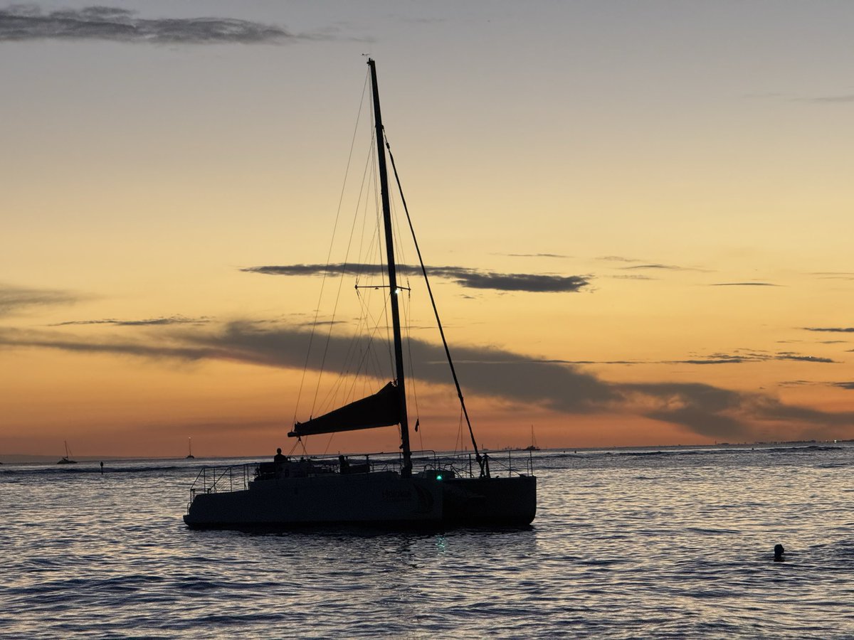 Matt Oram tweet media