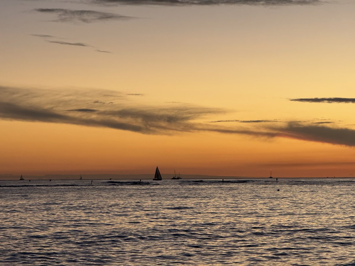 Matt Oram tweet media