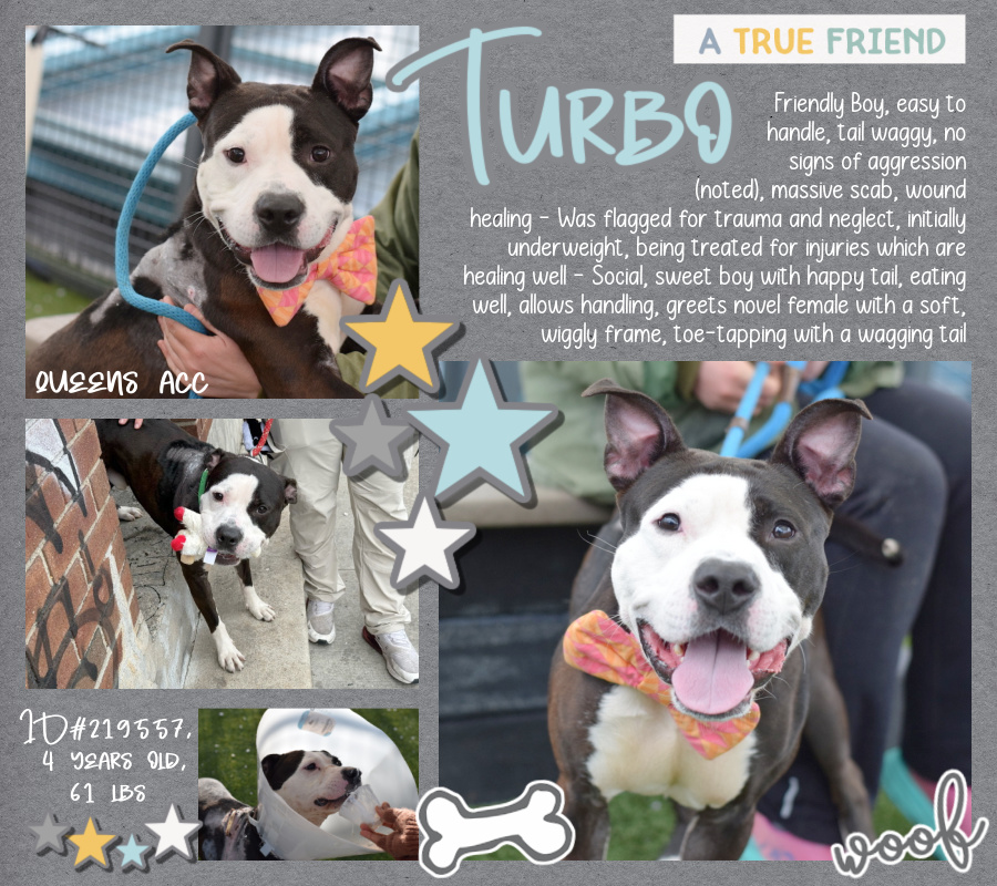 Not the Same tweet media