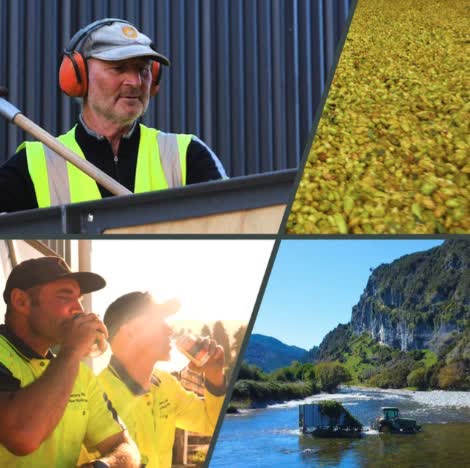 bx_technologies's tweet photo. That's a wrap on hop harvest in New Zealand! Shoutout to Clayton Hops for leading the charge in regenerative agricultu...
#RegenerativeAgriculture #SustainableFarming #ClaytonHops #HopHarvest #NewZealandFarming #AgTech #SoilHealth #FutureOfFarming #FarmToGlass #ClimateSmartAg https://t.co/aNQczug5Vt