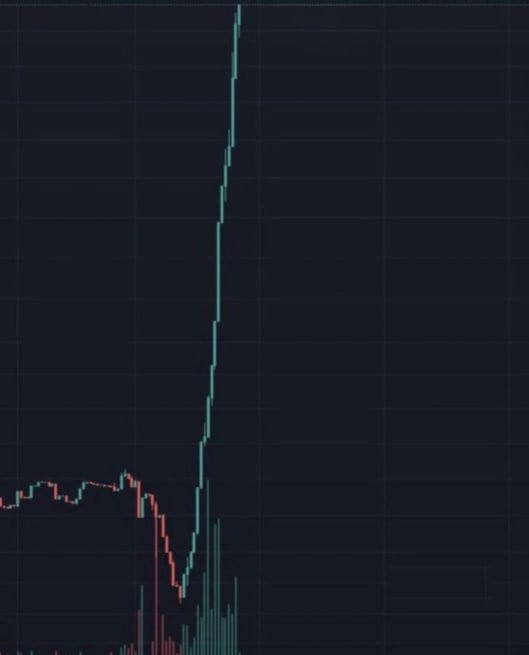 Cryptocorepi's tweet image. #GIGAWOOF $GWOOF 
#Solana #PumpFun #pumpswap