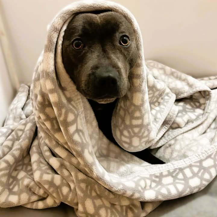 Good morning....
It's cool and cool morning