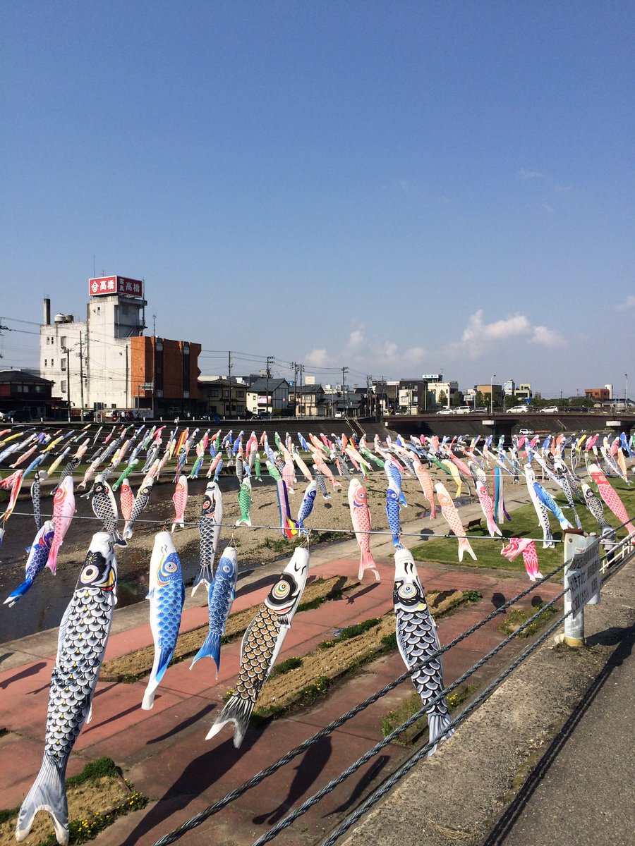 今加茂川通って泳ぐ鯉のぼりみたよ！
写真撮り損ねたから
10年前の鯉のぼりの写真どうぞ！
笑笑

あなたの自慢の「#加茂川を泳ぐ鯉のぼり」
 の写真見せて〜👀🎏

#ニイタビ775 #fm775