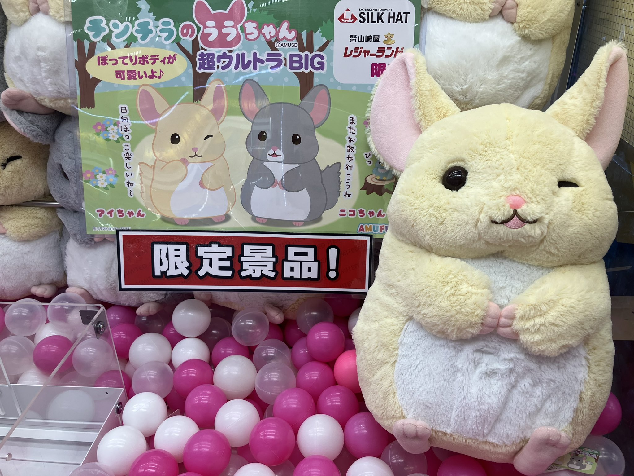 7月限定！新品☆【チンチラのララちゃん】なかよしウルトラBIGぬいぐるみ★全3種 7月限定！新品☆【チンチラのララちゃん】なかよしウルトラBIG