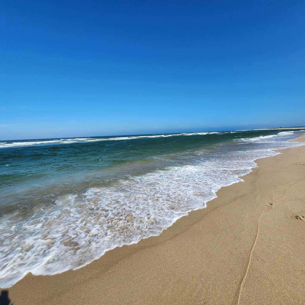 ok, it's early but I can't wait for another wonderful summer on the Jersey Shore.