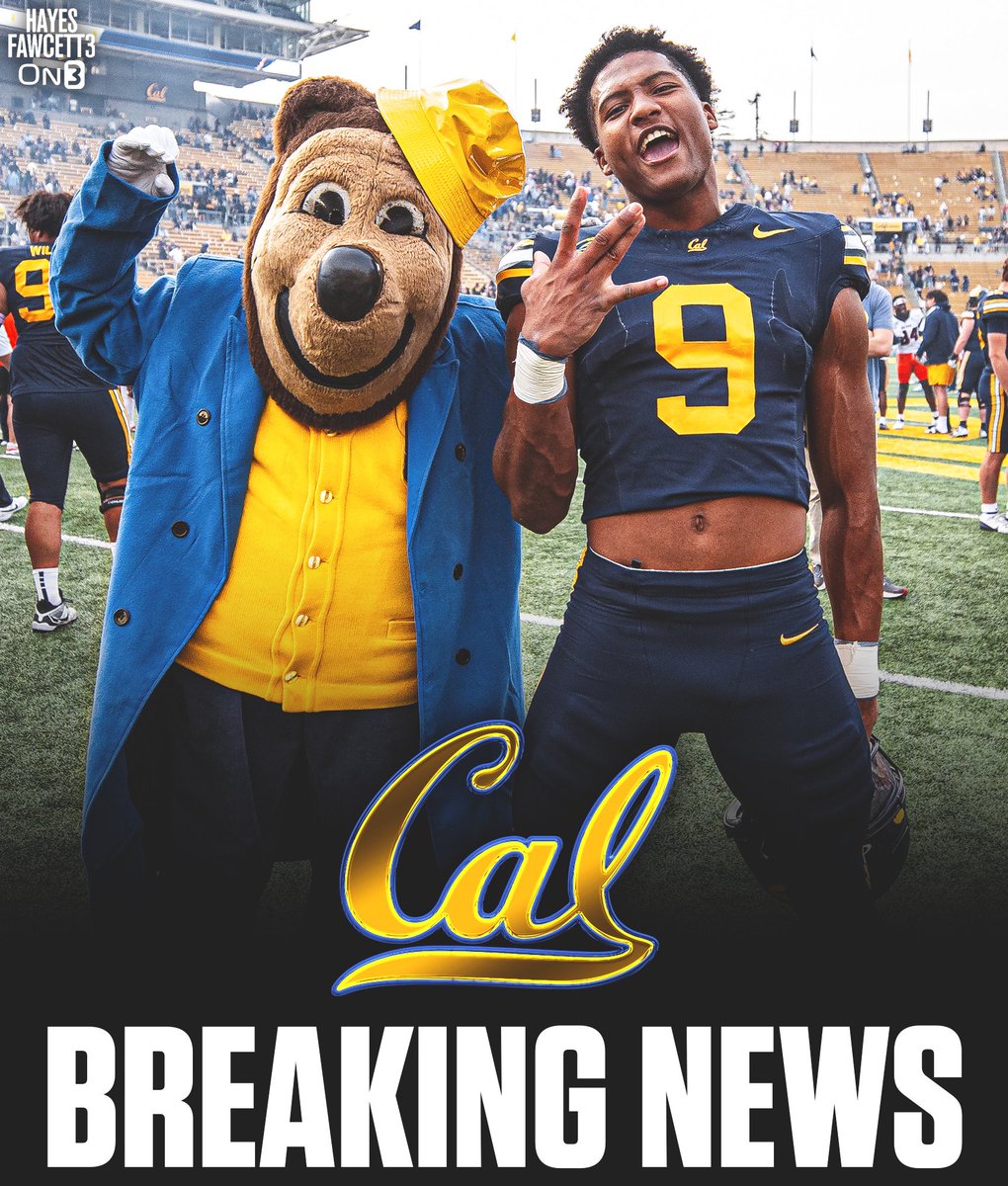 Hayes Fawcett tweet media