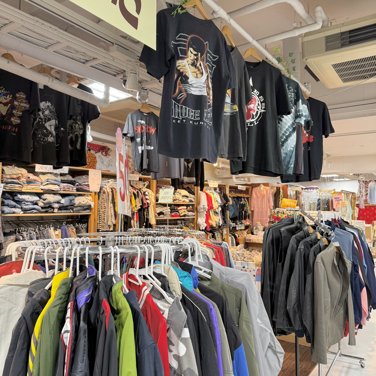 3びきの子ねこ仙台店オープンしました🐈♡
土日沢山のご来店お待ちしております♪