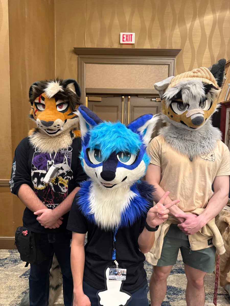 SmokeAndStripes's tweet photo. TFF was fun 🐯🧡

First con with my suit and it was sick
Ong I miss my homies and my suit siblings are cool asf 🧡
#FursuitFriday 
📸 last pic by @Nyxproto ((I will post more)) https://t.co/pUfydXrN5A