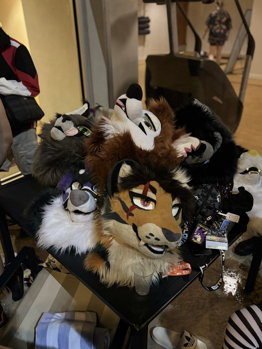 SmokeAndStripes's tweet photo. TFF was fun 🐯🧡

First con with my suit and it was sick
Ong I miss my homies and my suit siblings are cool asf 🧡
#FursuitFriday 
📸 last pic by @Nyxproto ((I will post more)) https://t.co/pUfydXrN5A