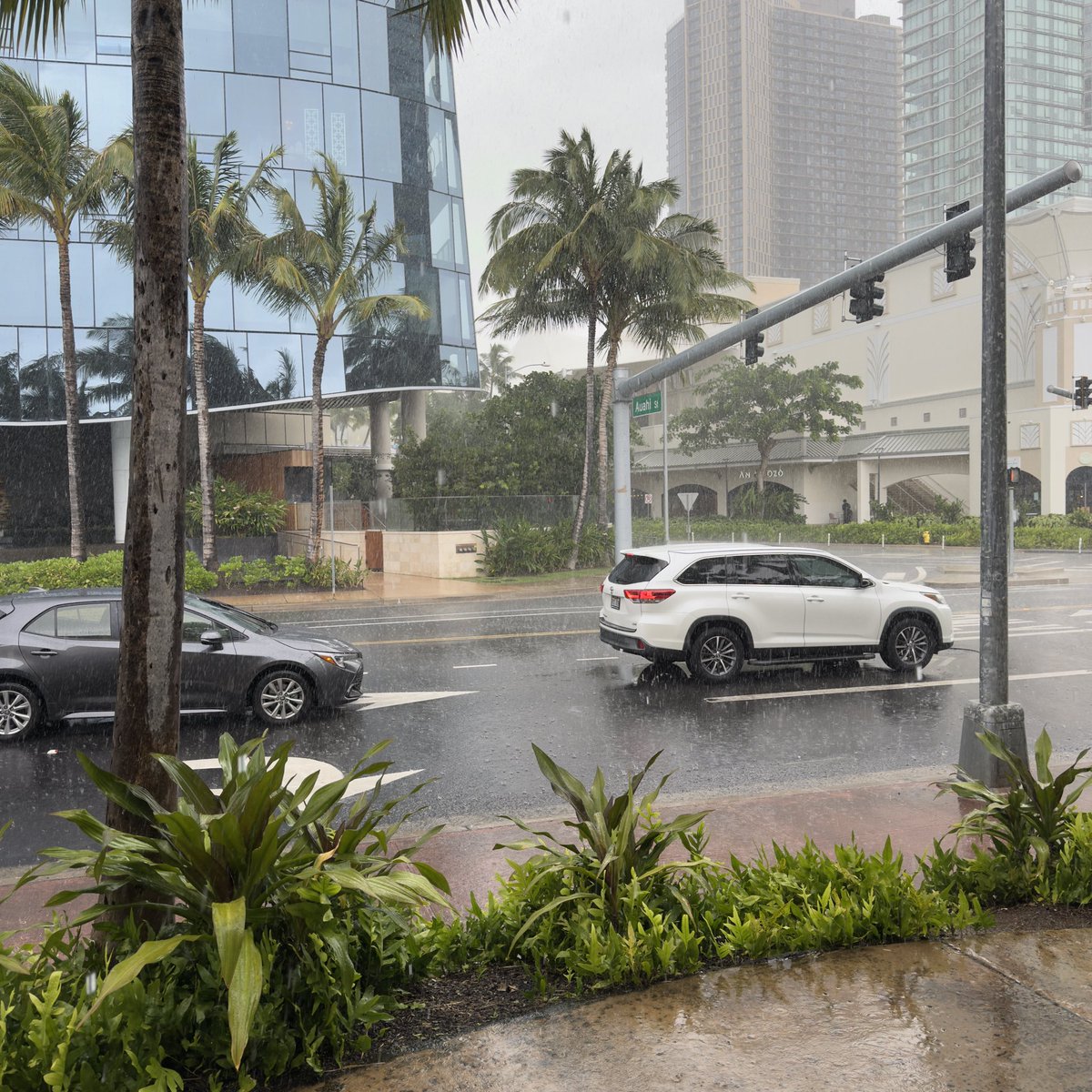 Matt Oram tweet media