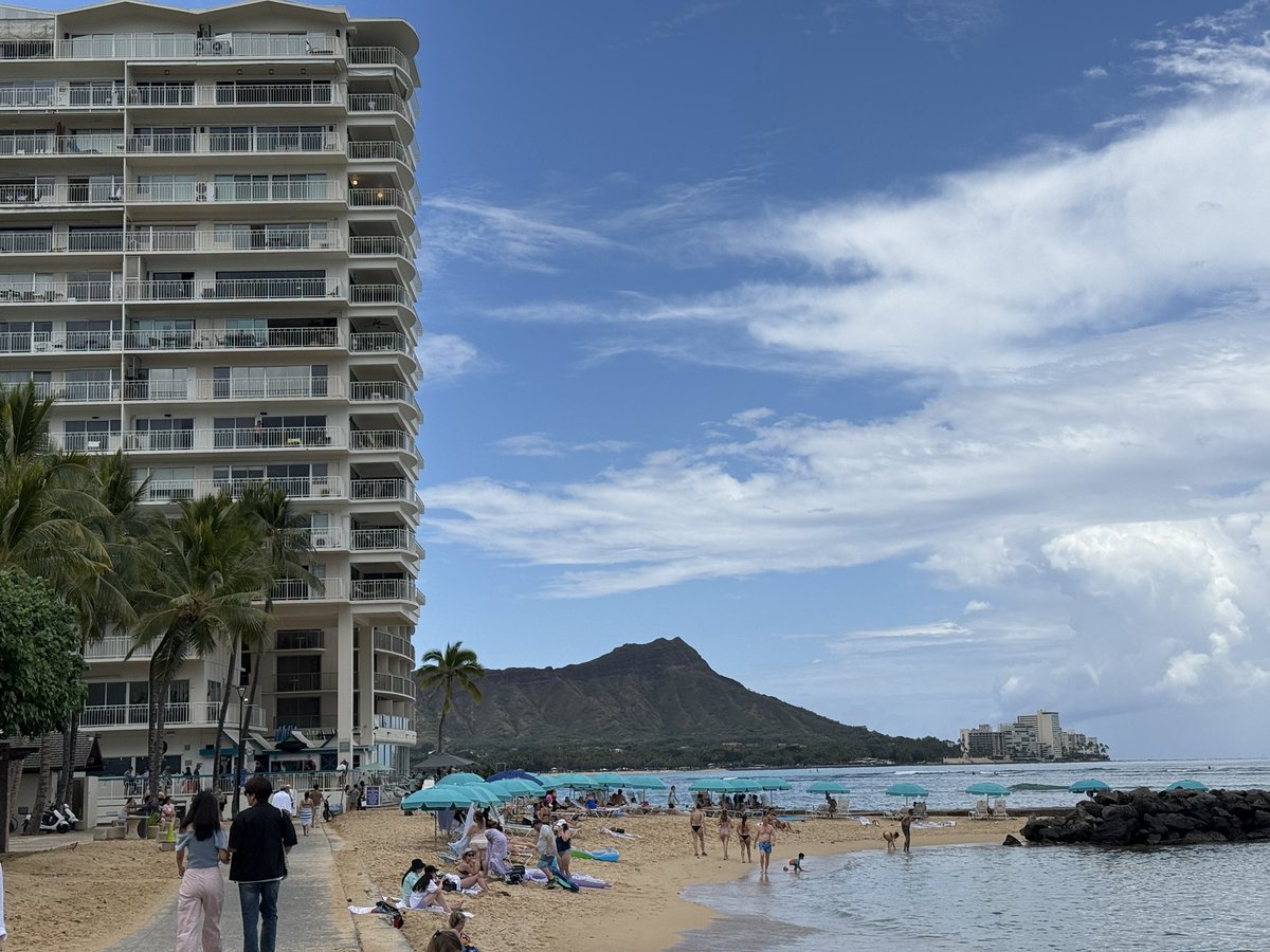 Matt Oram tweet media