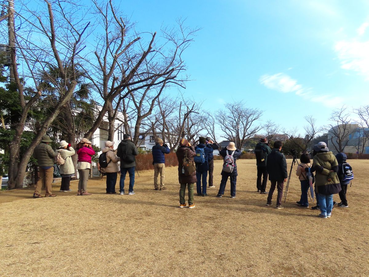 sai_si's tweet photo. 明日第３日曜日は西印旛沼探鳥会
御伊勢公園9時集合～西印旛沼ほとり12時過ぎ

春をいっしょに満喫しませんか
小鳥たちは賑やかにさえずりツバメも巣作りに励んでいます

参加費500円雨天中止
歩きやすい服装、筆記用具、あれば双眼鏡

写真は2月の西印旛沼探鳥会の様子（3月は雨で中止でした） https://t.co/wAk0K6FzoM