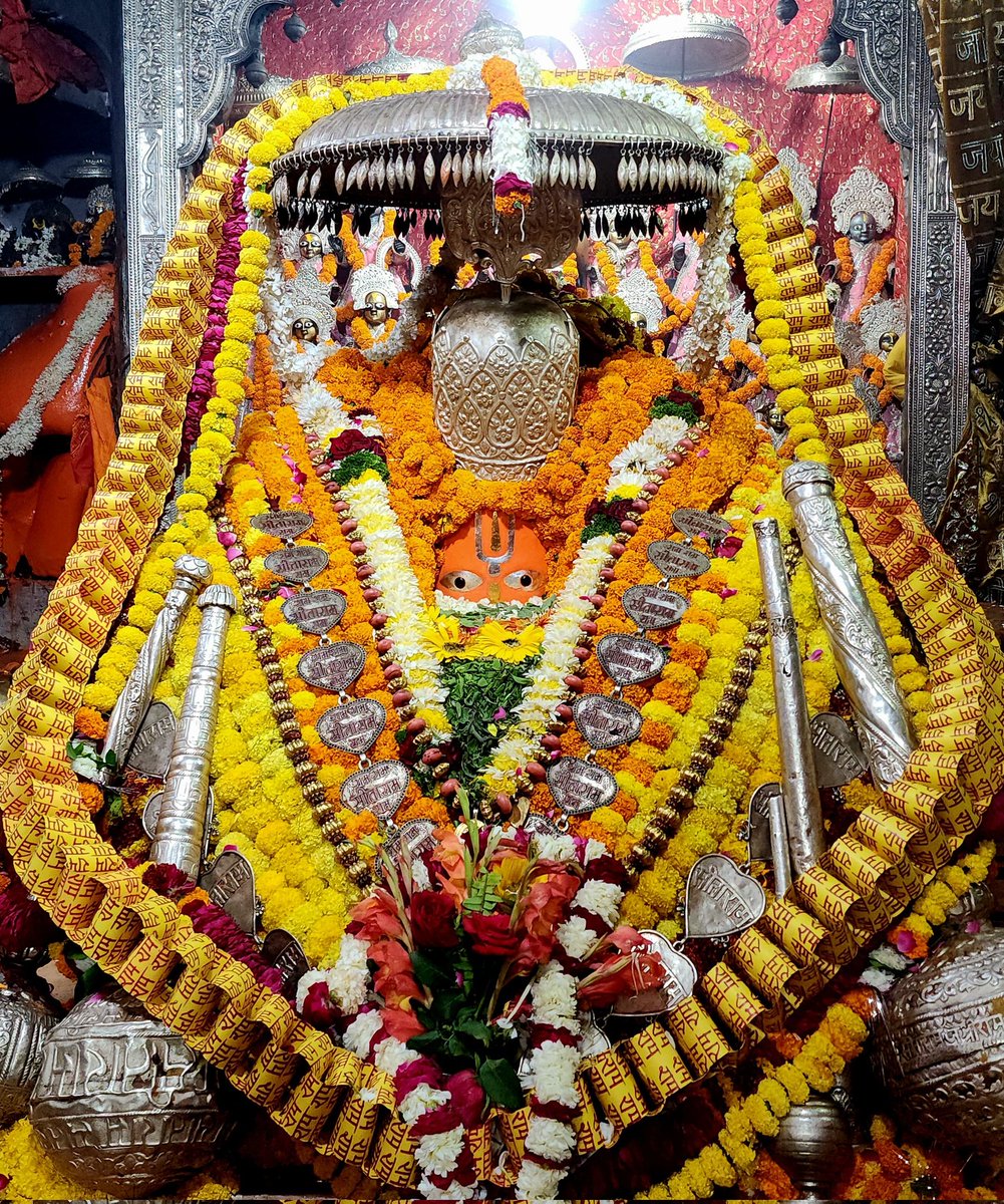 Shiveksha 🐰 tweet media