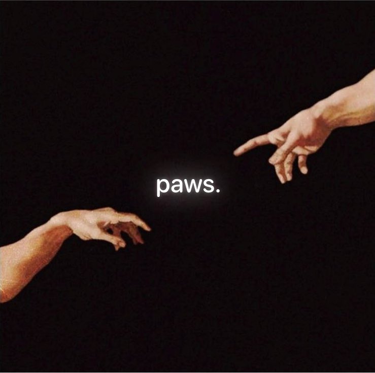GOTPAWSED's tweet photo. PAWS KEEP IT HARDER 🐾

Our focus remains unchanged: we’re here to build, improve & move the project forward.

Market conditions have been tough lately, and a number of unexpected factors came into play - but we’re handling it. The team is focused & remains fully committed.

We’re working hard to make sure PAWS grows the way it deserves to. 

The next BNB Season is coming, and it will take PAWS further into the multichain future.

Development is ongoing. An official PAWS product announcement, that will redefine the next phase of PAWS, is on the horizon.

Stay PAWSED!
