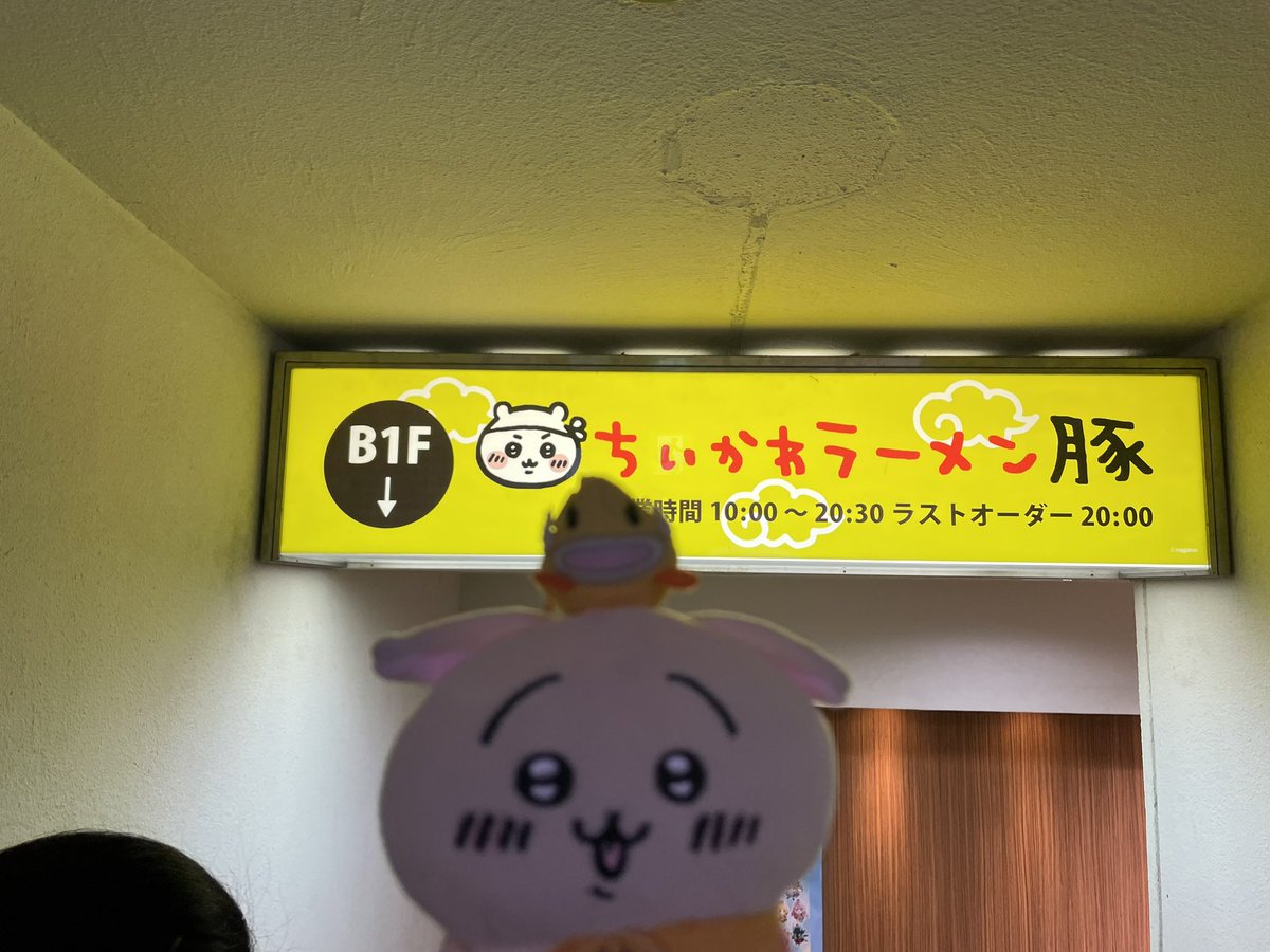 dwx_a8's tweet photo. やっっと行けるのが嬉しすぎる！
#ちいかわラーメン豚 #ちいかわランド広島 https://t.co/IjD2vU8Qep