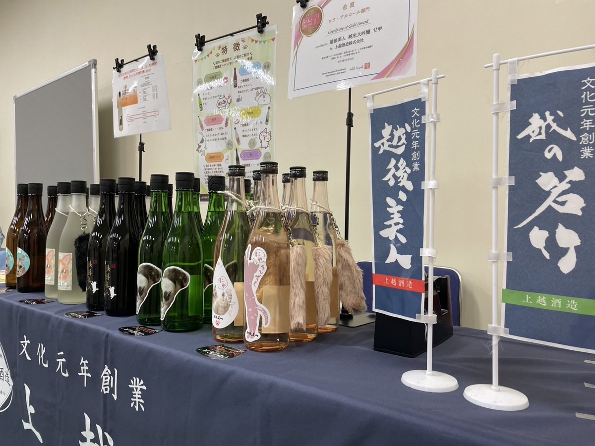 皆様、おはようございます‼
【猫フェス2025】当日でございます😽
猫ラベルのお酒並べて、お立ち寄りをお待ちしております～!(^^)! 
試飲してみないとねぇ…と迷われている方は、ちょっとだけ足を延ばして蔵へお越しください～🎵
（酒蔵は今日明日も営業しております‼）