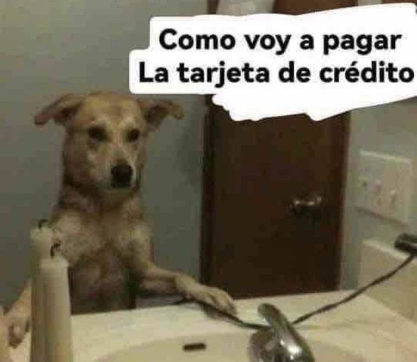 cornulda (@cornulda) on Twitter photo 