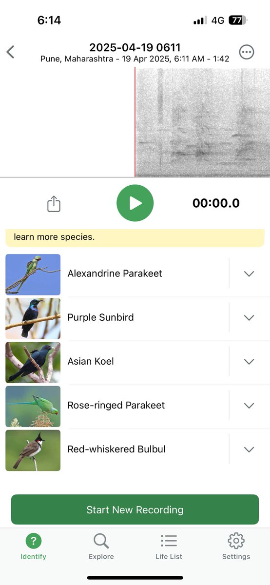 sumitakale's tweet photo. Saturday early morning rush hour #Pune4
Using app Merlin to identify birds
There’s one silent Black Kite high above
@OldWonk @alwrites https://t.co/1gPjfmBhxa