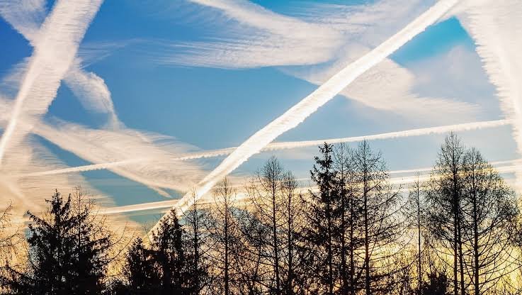 ALERT : spraying you like bugs, now honeytrapped. We warned u this is a war. We reminded you look up and pray years ago. 

Here we are. D Day...

Why ? 

They mocked us. Laughed at you. Called us conspiracy theorists. But chemtrails are real. A working progres. The lines in the