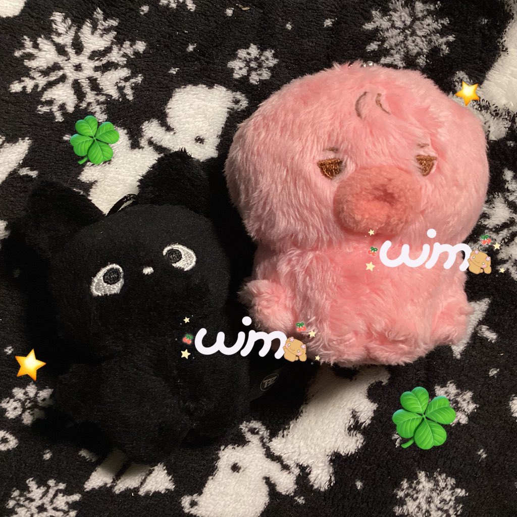 wenminiii's tweet photo. ตุ๊กตาซอนอู ตอนโกะ 2 ตัว 550 รวมส่ง(ลทบ) (เคยพาไปเที่ยว ไม่เคยอาบน้ำ มอมแมมเล็กน้อยค่ะ ) สนใจdm/mt ได้เยยคับ ♥️☘️⭐️#ตลาดนัดtheboyz #ตลาดนัดหนุ่มดอกไม้ https://t.co/eLTU4A1qHK