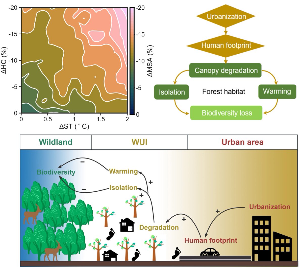 GlobalChangeBio's tweet image. #Urbanization Pressures on Climate Adaptation Capacity of Forest Habitats 

📄 buff.ly/OkngXTz
#climateadaptation