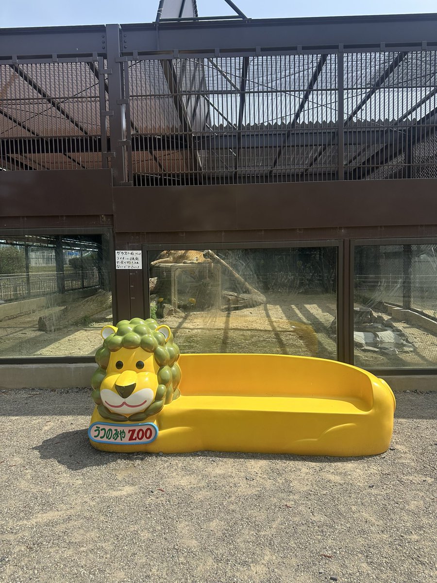 今日から2日間宇都宮動物園さんでパフォーマンスさせていただきます
初めての場所なので、いろいろ考えながらパフォーマンス頑張ろう！
数年ぶりに宇都宮来たなー