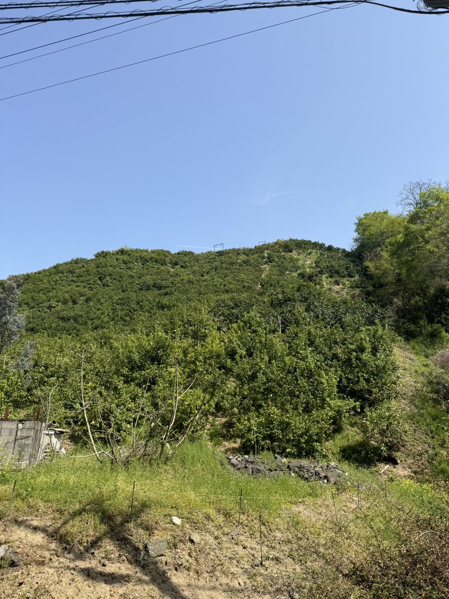 masaya_dev's tweet photo. ゆっくりジョギングしつつ弘法大師像やみかん畑眺めたりマントラ洞窟入ったりで心身ともにリフレッシュ、最高の朝
 #rubykaigi5k https://t.co/HLJXAyJ7LK