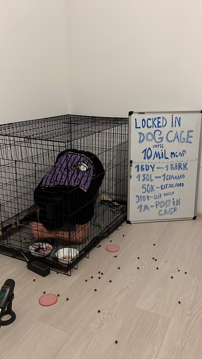 DogCageSolana's tweet photo. No sleep in $DOGCAGE https://t.co/42IDiQl5kO