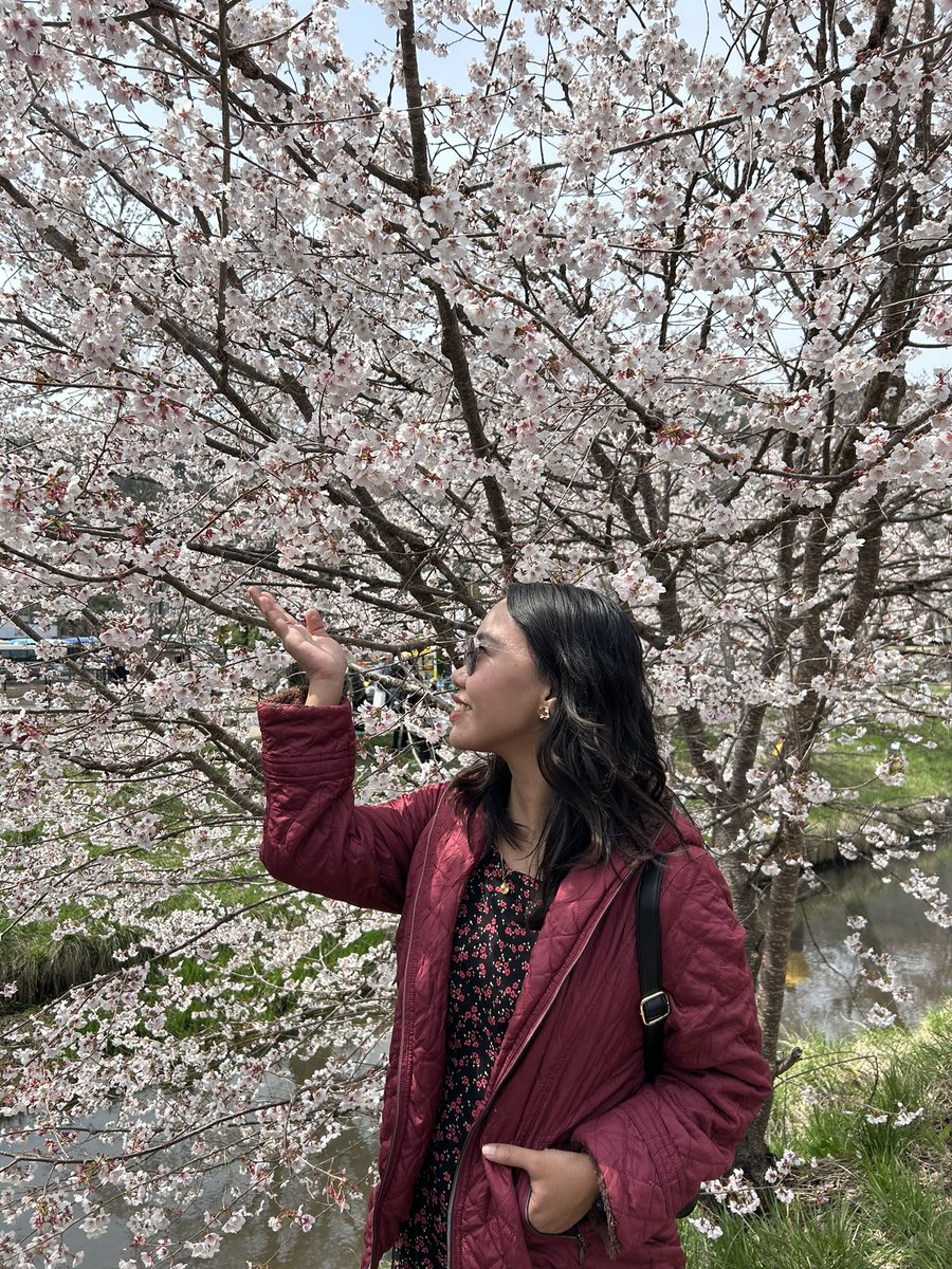 florabz18's tweet photo. 🌸🌸🌸 https://t.co/4TjfJMHCKm