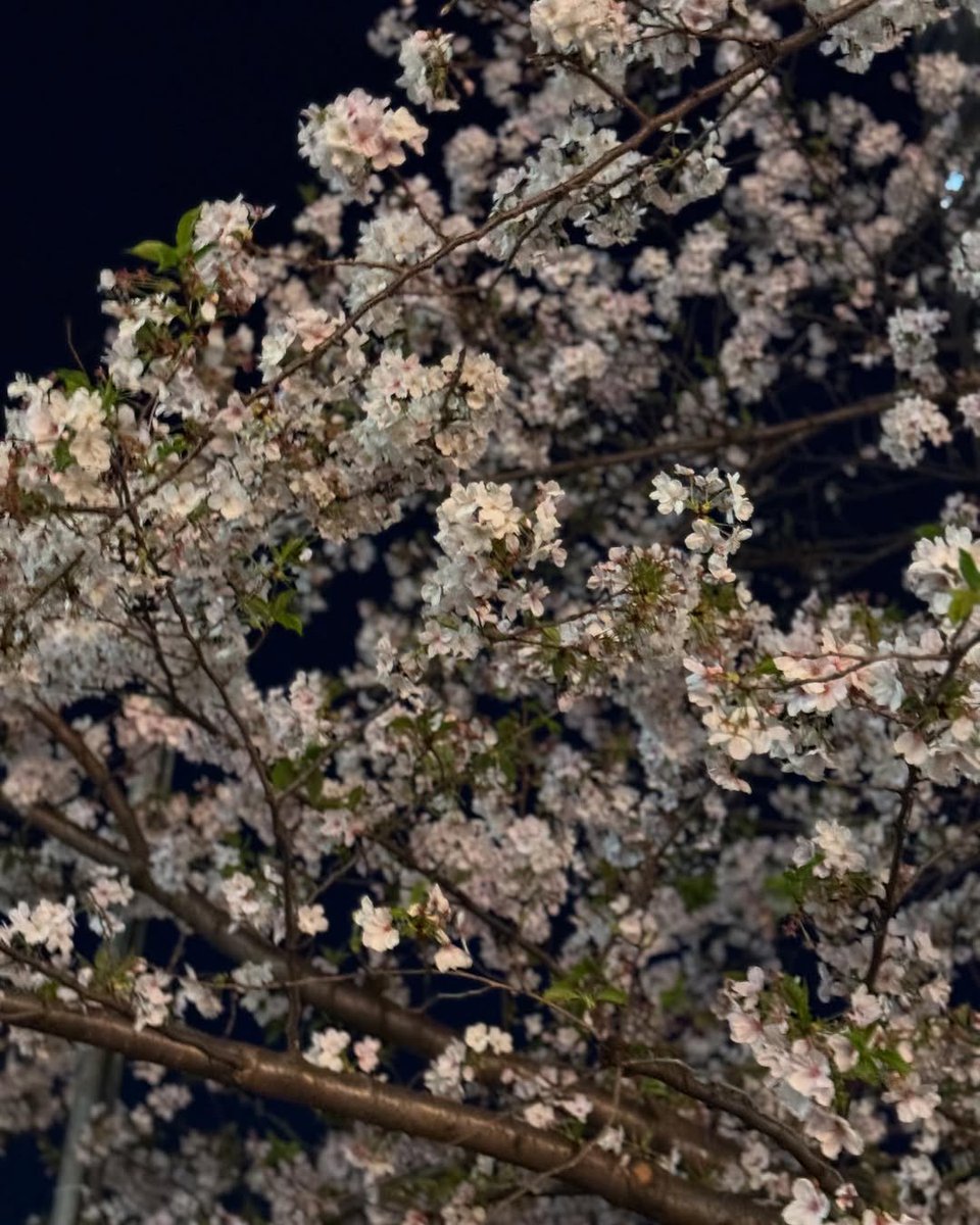 mzylvs_2's tweet image. Jinjin's IG post!💚

"i miss you dongsaeng😍"

#JINJIN #진진 #MOONBIN #문빈 #아스트로 #ASTRO @offclASTRO