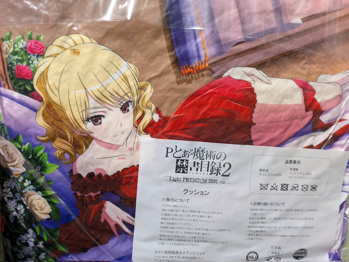 ☆【未開封】Pとある魔術の禁書目録 キャラクッション レッサー 2024