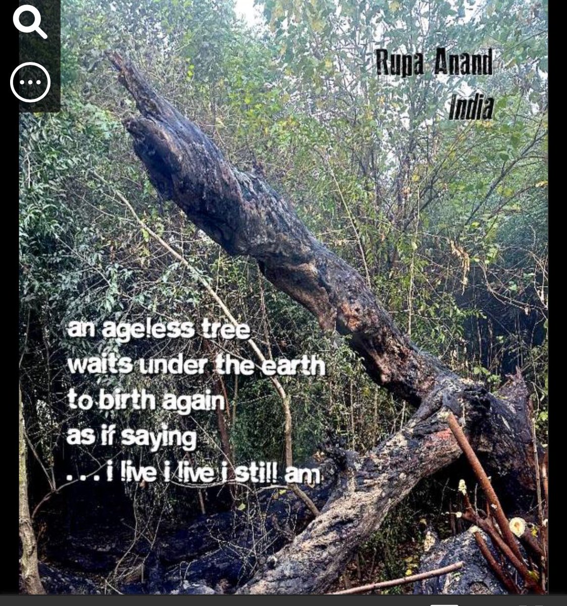 Rupa Anand tweet media