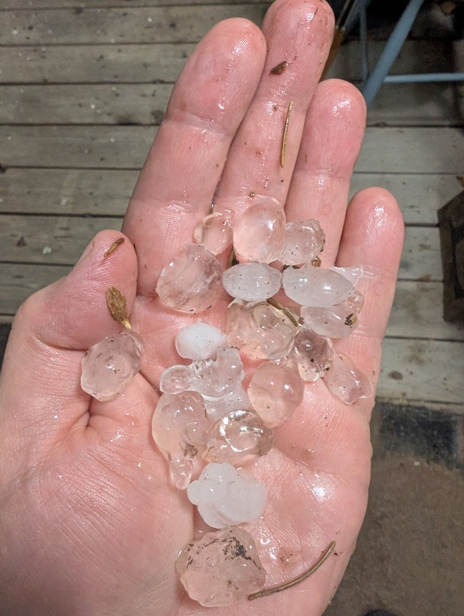 mimerifle's tweet photo. @StormhunterTWN Poplar Hill ON about 15 minutes ago https://t.co/z3dfhwPBhA