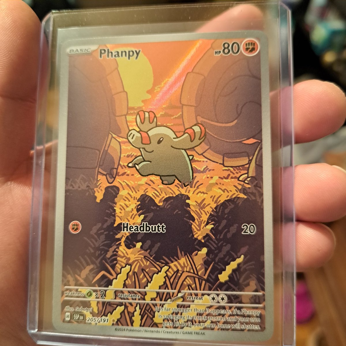Extremely beautiful and undervalued 

#Pokemon #Phanpy #Donphan #PokemonTCG