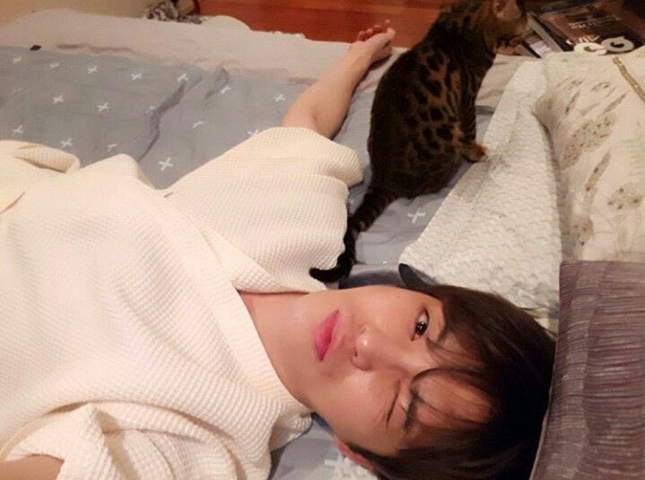 mydextiny's tweet photo. 고양이 2마리ᓚᘏᗢఇෆ https://t.co/KflVOhNpVl